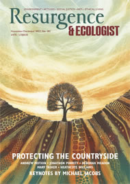 Resurgence and Ecologist magazine issue cover 281