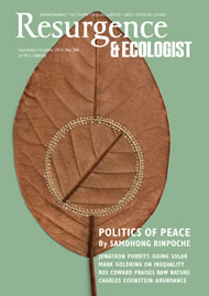 Resurgence and Ecologist magazine issue cover 286