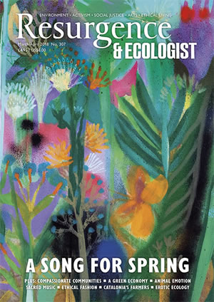 Resurgence and Ecologist magazine issue cover 307