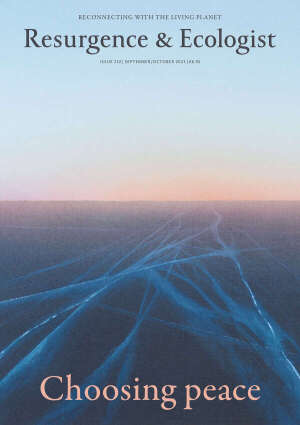 back issue 352