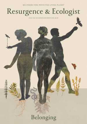 Resurgence and Ecologist magazine issue cover 359