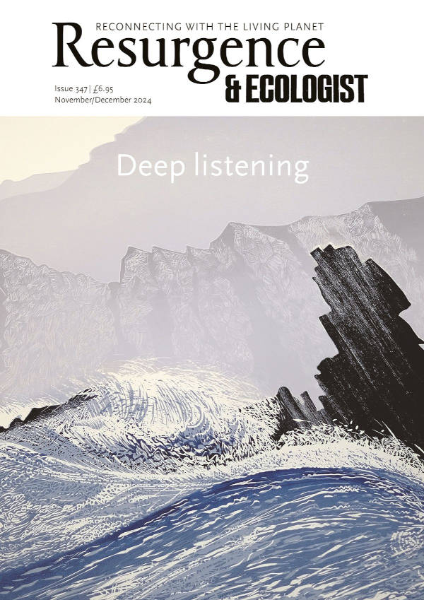 issue cover 347