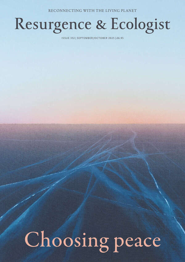 issue cover 352