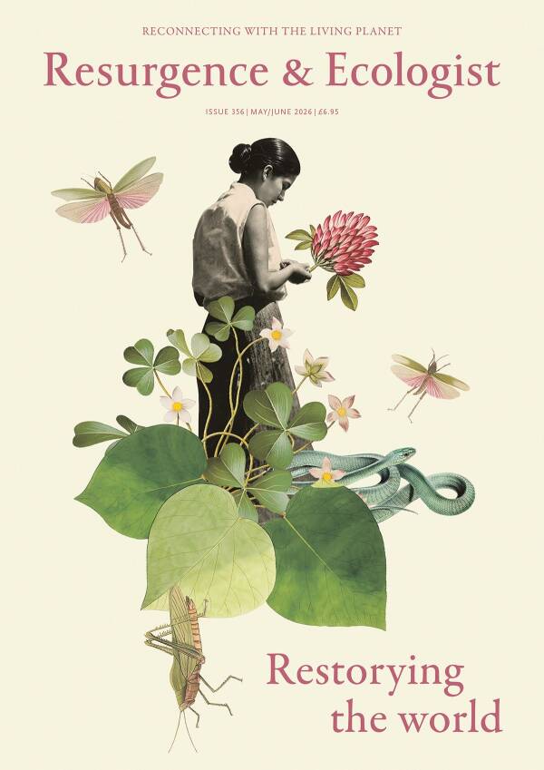 issue cover 356