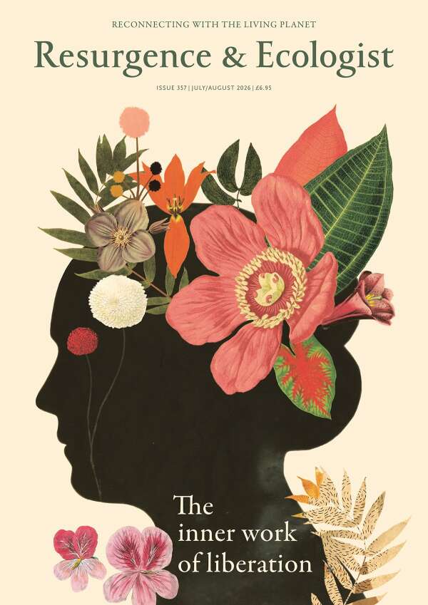 issue cover 357
