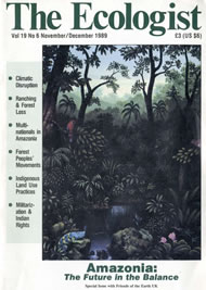 View larger image of cover of issue 1989-11 Cover of Ecologist issue 1989-11