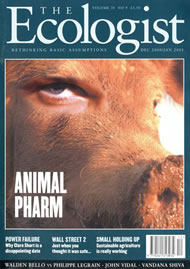 View larger image of cover of issue 2000-12 Cover of Ecologist issue 2000-12