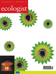 View larger image of cover of issue 2002-12 Cover of Ecologist issue 2002-12