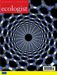 View larger image of cover of issue 2003-05 Cover of Ecologist issue 2003-05