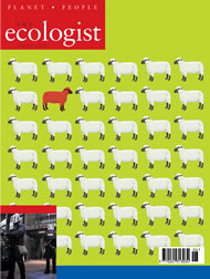 View larger image of cover of issue 2003-06 Cover of Ecologist issue 2003-06