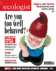 View larger image of cover of issue 2004-10 Cover of Ecologist issue 2004-10