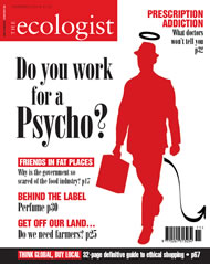 View larger image of cover of issue 2004-11 Cover of Ecologist issue 2004-11