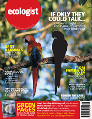 View larger image of cover of issue 2005-05 Cover of Ecologist issue 2005-05
