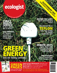 View larger image of cover of issue 2005-06 Cover of Ecologist issue 2005-06