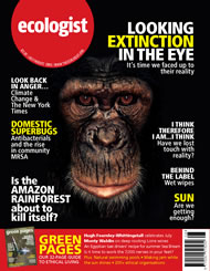 View larger image of cover of issue 2005-07 Cover of Ecologist issue 2005-07