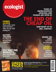 View larger image of cover of issue 2005-10 Cover of Ecologist issue 2005-10