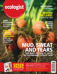 View larger image of cover of issue 2005-11 Cover of Ecologist issue 2005-11