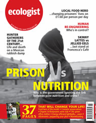 View larger image of cover of issue 2006-03 Cover of Ecologist issue 2006-03
