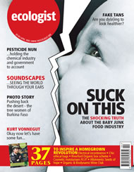 View larger image of cover of issue 2006-04 Cover of Ecologist issue 2006-04