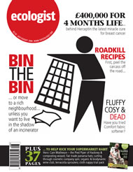 View larger image of cover of issue 2006-07 Cover of Ecologist issue 2006-07