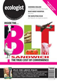 View larger image of cover of issue 2006-09 Cover of Ecologist issue 2006-09