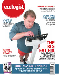 View larger image of cover of issue 2006-11 Cover of Ecologist issue 2006-11