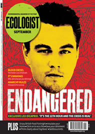 View larger image of cover of issue 2007-09 Cover of Ecologist issue 2007-09