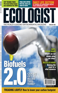 View larger image of cover of issue 2009-01 Cover of Ecologist issue 2009-01