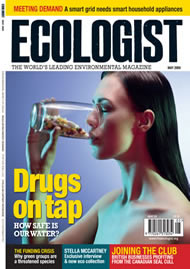 View larger image of cover of issue 2009-04 Cover of Ecologist issue 2009-04