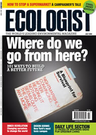 View larger image of cover of issue 2009-06 Cover of Ecologist issue 2009-06