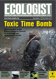 View larger image of cover of issue 2010-11 Cover of Ecologist issue 2010-11