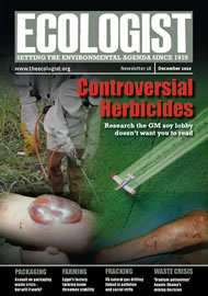 View larger image of cover of issue 2010-12 Cover of Ecologist issue 2010-12