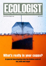 View larger image of cover of issue 2011-05s Cover of Ecologist issue 2011-05s