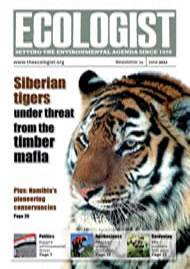 View larger image of cover of issue 2011-06 Cover of Ecologist issue 2011-06