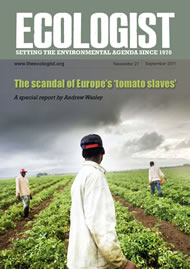 View larger image of cover of issue 2011-09 Cover of Ecologist issue 2011-09