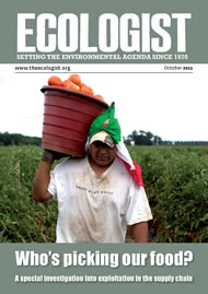 View larger image of cover of issue 2011-10s Cover of Ecologist issue 2011-10s