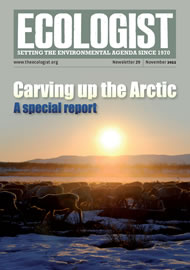 View larger image of cover of issue 2011-11 Cover of Ecologist issue 2011-11