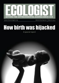 View larger image of cover of issue 2012-03s Cover of Ecologist issue 2012-03s