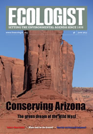 View larger image of cover of issue 2012-06 Cover of Ecologist issue 2012-06