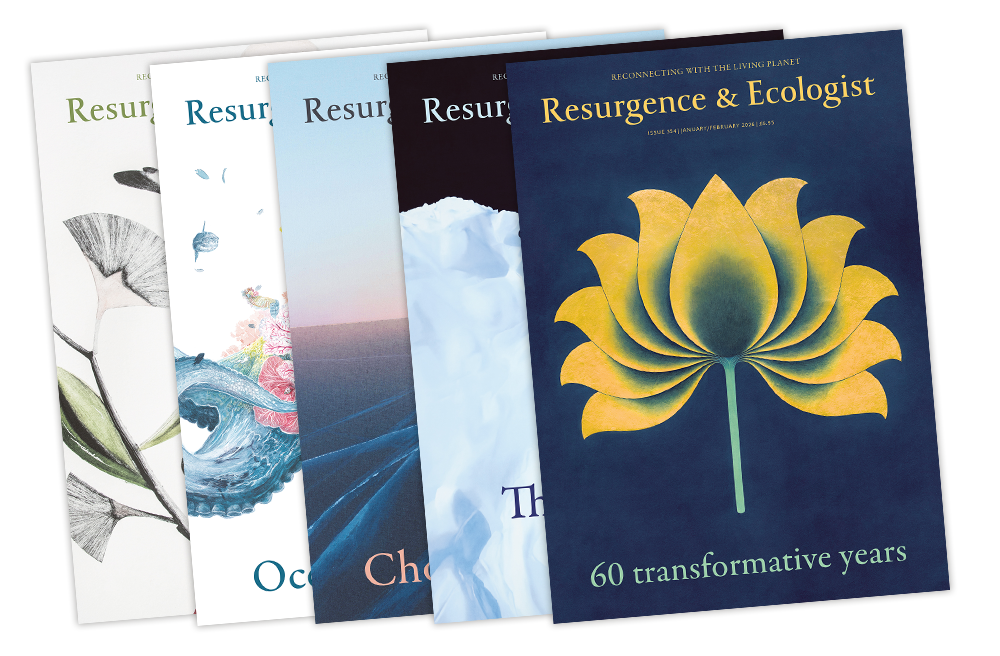 Take out a Membership Subscription