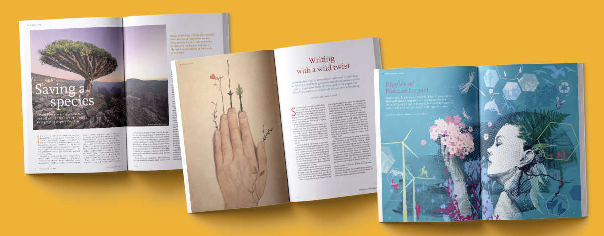 Images from Resurgence and Ecologist Magazine issue 340