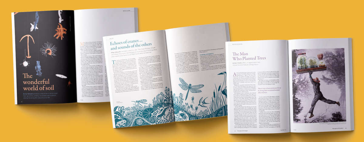Images from Resurgence and Ecologist Magazine issue 349