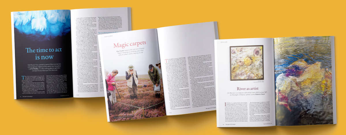 Images from Resurgence and Ecologist Magazine issue 353
